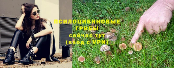 круглые Алзамай