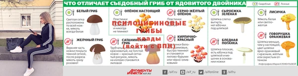 круглые Алзамай