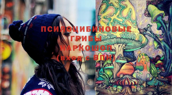 apvp Алексеевка