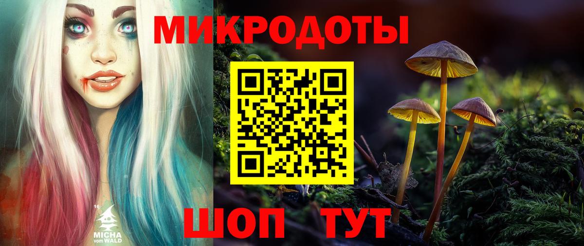 Галлюциногенные грибы Cubensis Канаш